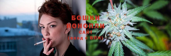 таблы Богданович