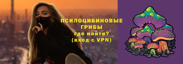 круглые Богородицк