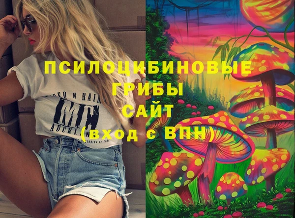 таблы Богородск