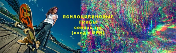 таблы Богородск