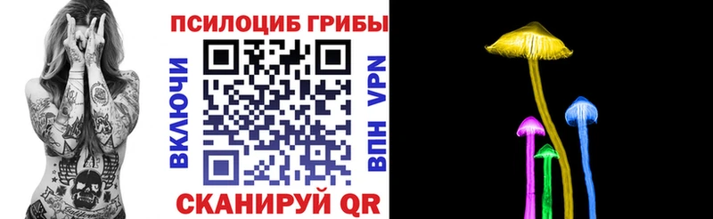 дарнет шоп Набережные Челны МЕГА рабочий сайт дарк нет клад Псилоцибиновые грибы GOLDEN TEACHER